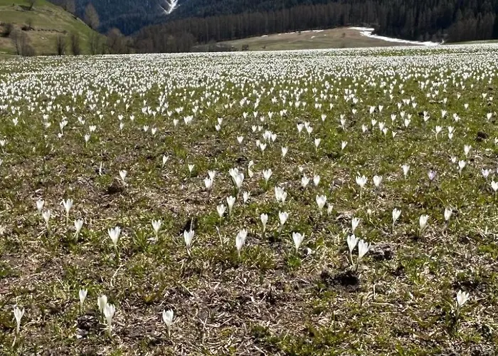 Chasa Jaro By Interhome *